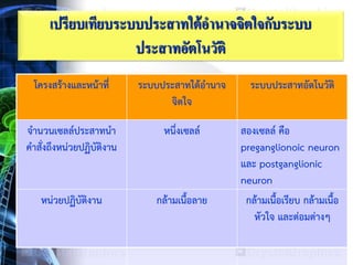 เปรียบเทียบระบบประสาทใต้อานาจจิตใจกับระบบ
ประสาทอัตโนวัติ
โครงสร้างและหน้าที่ ระบบประสาทใต้อานาจ
จิตใจ
ระบบประสาทอัตโนวัติ
จานวนเซลล์ประสาทนา
คาสั่งถึงหน่วยปฏิบัติงาน
หนึ่งเซลล์ สองเซลล์ คือ
preganglionoic neuron
และ postganglionic
neuron
หน่วยปฏิบัติงาน กล้ามเนื้อลาย กล้ามเนื้อเรียบ กล้ามเนื้อ
หัวใจ และต่อมต่างๆ
 