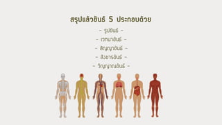 - รูปขันธ์ -
- เวทนาขันธ์ -
- สัญญาขันธ์ -
- สังขารขันธ์ -
- วิญญาณขันธ์ -
สรุปแล้วขันธ์ 5 ประกอบด้วย
 