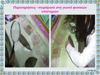 Παρατηρήσεις –πειράματα στη γωνιά φυσικών
επιστημών
 