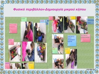 Φυσικό περιβάλλον-Δημιουργία μικρού κήπου
 