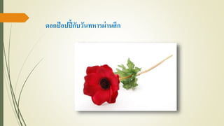 ดอกป๊อปปี้กับวันทหารผ่านศึก
 