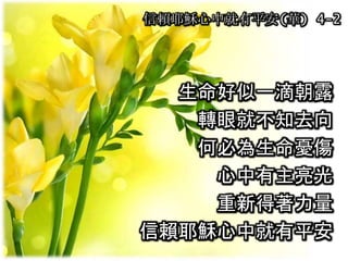 生命好似一滴朝露
轉眼就不知去向
何必為生命憂傷
心中有主亮光
重新得著力量
信賴耶穌心中就有平安
信賴耶穌心中就有平安(華) 4-2
 
