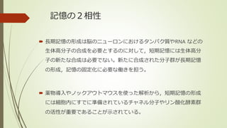 記憶の２相性
 長期記憶の形成は脳のニューロンにおけるタンパク質やRNA などの
生体高分子の合成を必要とするのに対して，短期記憶には生体高分
子の新たな合成は必要でない。新たに合成された分子群が長期記憶
の形成，記憶の固定化に必要な働きを担う。
 薬物導入やノックアウトマウスを使った解析から，短期記憶の形成
には細胞内にすでに準備されているチャネル分子やリン酸化酵素群
の活性が重要であることが示されている。
 