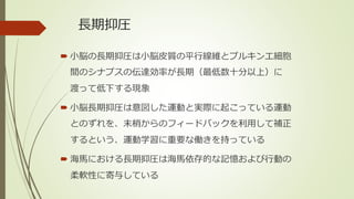 長期抑圧
 小脳の長期抑圧は小脳皮質の平行線維とプルキンエ細胞
間のシナプスの伝達効率が長期（最低数十分以上）に
渡って低下する現象
 小脳長期抑圧は意図した運動と実際に起こっている運動
とのずれを、末梢からのフィードバックを利用して補正
するという、運動学習に重要な働きを持っている
 海馬における長期抑圧は海馬依存的な記憶および行動の
柔軟性に寄与している
 