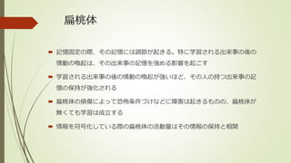 扁桃体
 記憶固定の際、その記憶には調節が起きる。特に学習される出来事の後の
情動の喚起は、その出来事の記憶を強める影響を起こす
 学習される出来事の後の情動の喚起が強いほど、その人の持つ出来事の記
憶の保持が強化される
 扁桃体の損傷によって恐怖条件づけなどに障害は起きるものの、扁桃体が
無くても学習は成立する
 情報を符号化している際の扁桃体の活動量はその情報の保持と相関
 