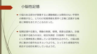 小脳性記憶
 小脳のある部分が損傷すると運動機能とは関係のない予想外
の障害が生じ，とりわけ知覚情報を素早く正確に認識する機
能に障害をきたすこともわかった。
 短期記憶や注意力，情動の制御，感情，高度な認識力，計画
を立案する能力のほか，統合失調症（分裂病）や自閉症と
いった精神疾患と関係している可能性も示された。小脳は筋
肉に動きの指令を出すというよりも，入ってきた感覚信号を
統合する役目を果たしているようだ。
 