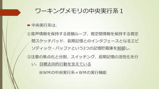 ワーキングメモリの中央実行系１
 中央実行系は、
①音声情報を保持する音韻ループ、視空間情報を保持する視空
間スケッチパッド、長期記憶とのインタフェースとなるエピ
ソディック・バッファという3つの記憶貯蔵庫を制御し、
②注意の焦点化と分割、スイッチング、長期記憶の活性化を行
い、目標志向的行動を支えている
※ＷＭの中央実行系＝ＷＭの実行機能
 
