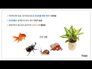 스마트큐 발표자료 김재우