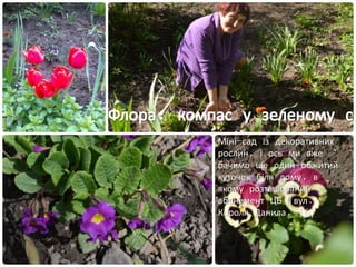 Міні-сад із декоративних
рослин, і ось ми вже
бачимо ще один обжитий
куточок біля дому, в
якому розташований
абонемент ЦБ (вул.
Короля Данила, 16)
 