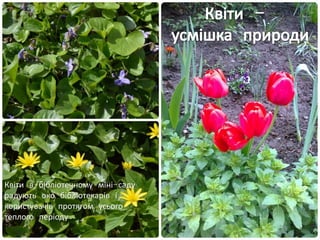 Квіти в бібліотечному міні-саду
радують око бібліотекарів і
користувачів протягом усього
теплого періоду.
 