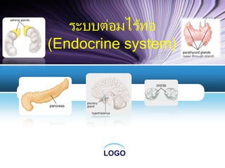 LOGO
ระบบต่อมไร้ท่อ
(Endocrine system)
 