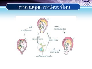 LOGO
การควบคุมการหลั่งฮอร์โมน
 