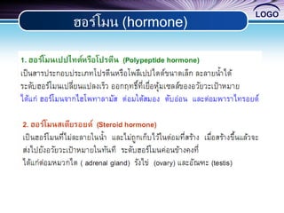 LOGO
ฮอร์โมน (hormone)
 