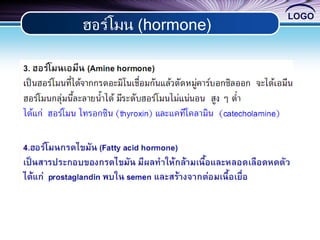 LOGO
ฮอร์โมน (hormone)
 