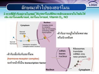 LOGO
ลักษณะทั่วไปของฮอร์โมน
2.พวกที่มีตัวรับอยู่ภายในเซลล์ ได้แก่ฮอร์โมนที่มีขนาดเล็กและละลายในไขมันได้
เช่น ฮอร์โมนสเตียรอยด์, ฮอร์โมนไทรอยด์, Vitamin D3, NO
 