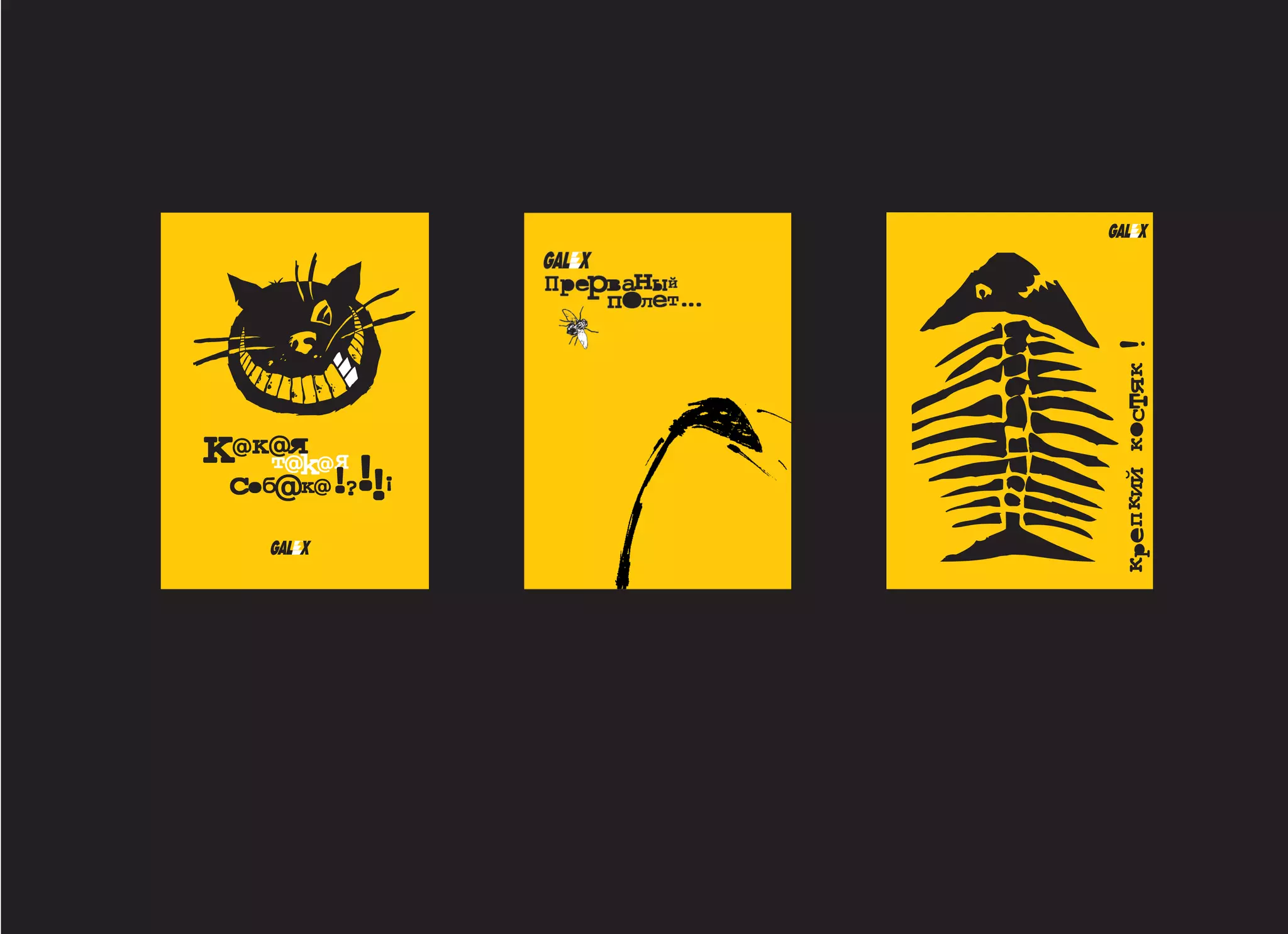 ш — портфолио