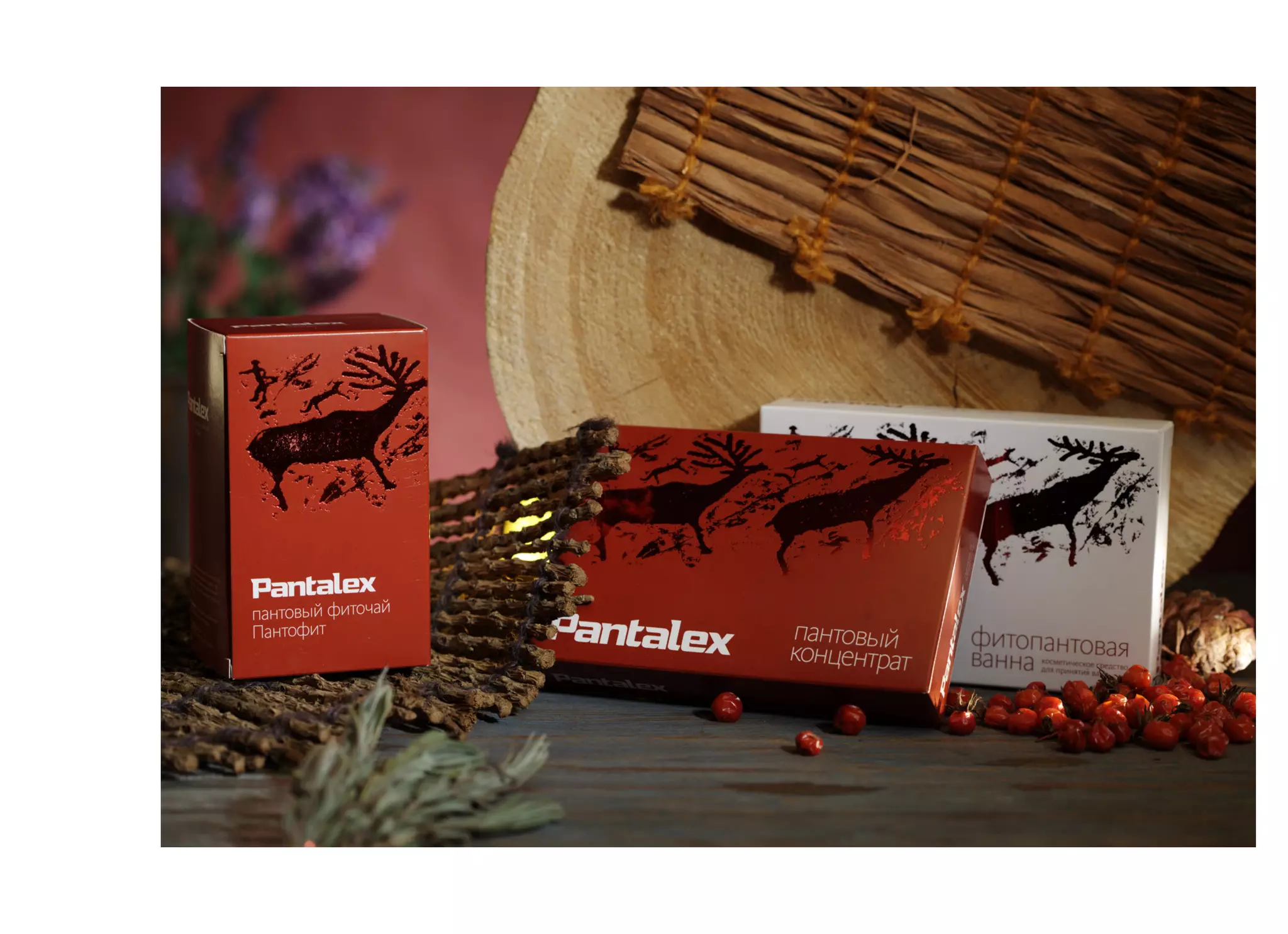 ш — портфолио