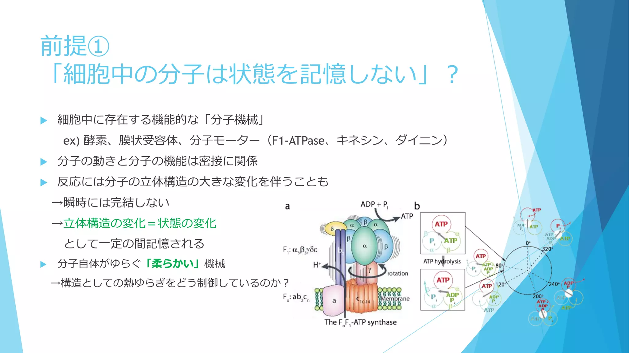 前提①
「細胞中の分子は状態を記憶しない」？
 細胞中に存在する機能的な「分子機械」
ex) 酵素、膜状受容体、分子モーター（F1-ATPase、キネシン、ダイニン）
 分子の動きと分子の機能は密接に関係
 反応には分子の立体構造の大きな変化を伴うことも
→瞬時には完結しない
→立体構造の変化＝状態の変化
として一定の間記憶される
 分子自体がゆらぐ「柔らかい」機械
→構造としての熱ゆらぎをどう制御しているのか？
 