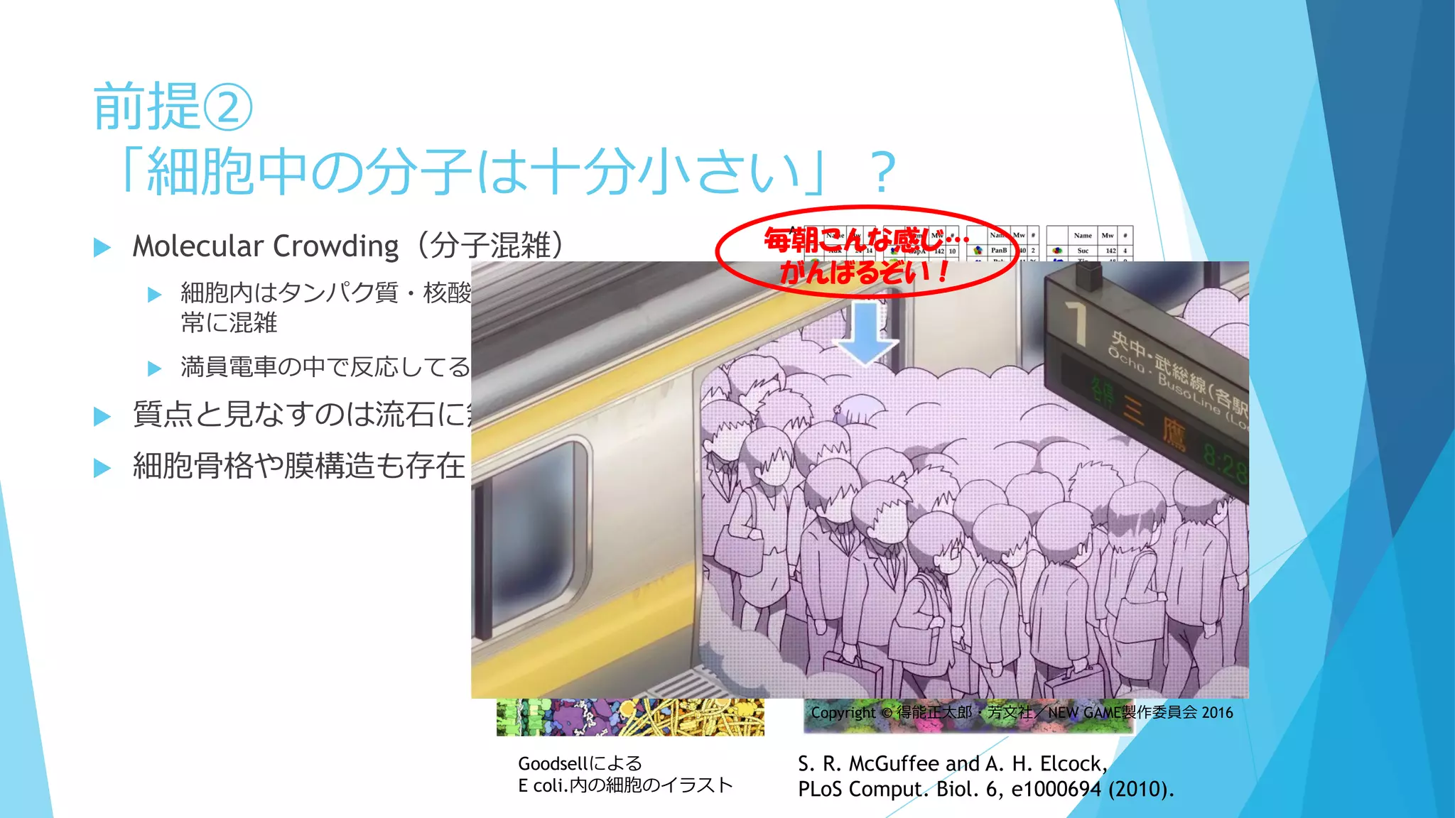 前提②
「細胞中の分子は十分小さい」？
 Molecular Crowding（分子混雑）
 細胞内はタンパク質・核酸など高分子で非
常に混雑
 満員電車の中で反応してるようなもの
 質点と見なすのは流石に無理
 細胞骨格や膜構造も存在
S. R. McGuffee and A. H. Elcock,
PLoS Comput. Biol. 6, e1000694 (2010).
Goodsellによる
E coli.内の細胞のイラスト
毎朝こんな感じ…
がんばるぞい！
Copyright © 得能正太郎・芳文社／NEW GAME製作委員会 2016
 