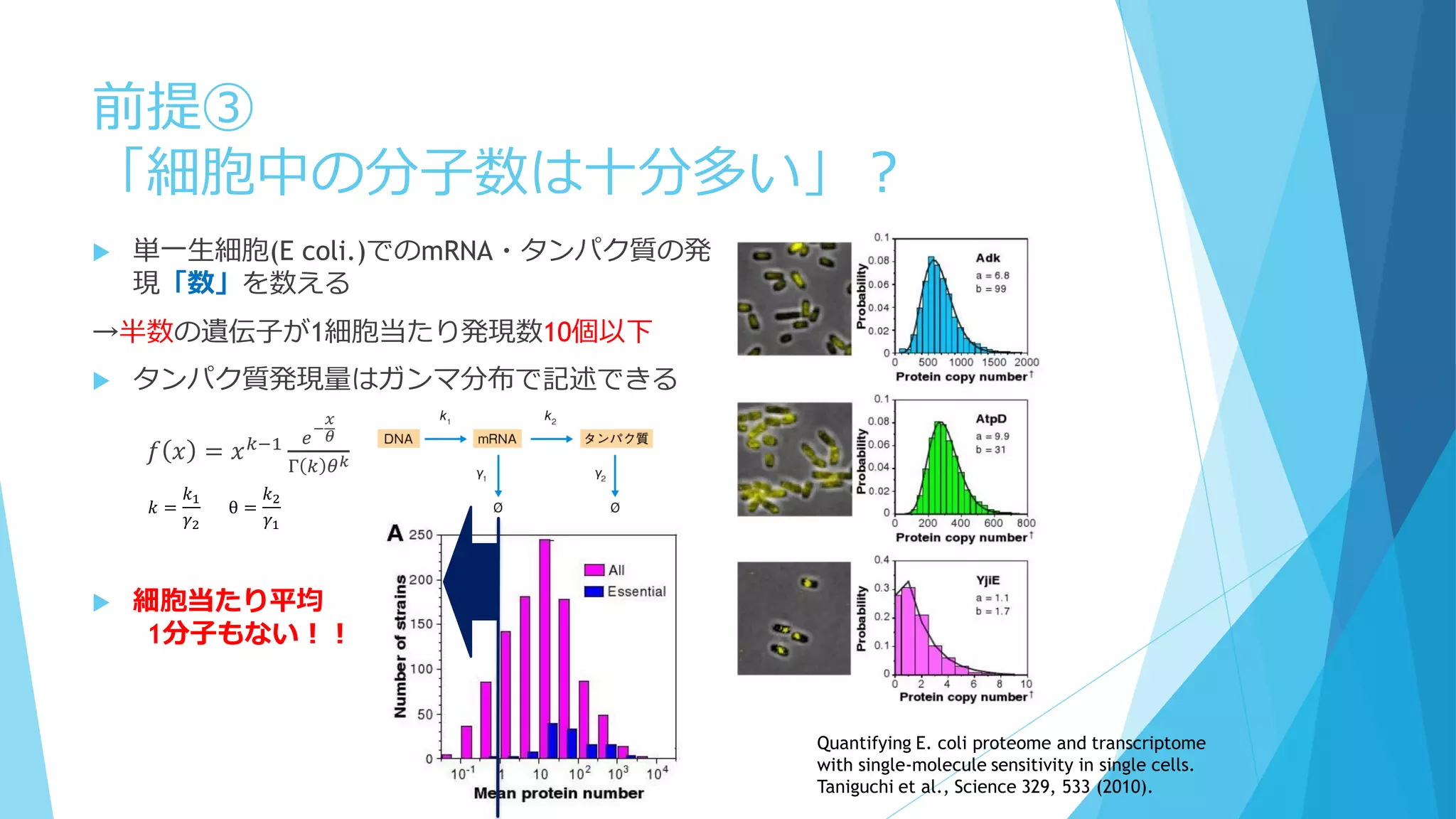 前提③
「細胞中の分子数は十分多い」？
 単一生細胞(E coli.)でのmRNA・タンパク質の発
現「数」を数える
→半数の遺伝子が1細胞当たり発現数10個以下
 タンパク質発現量はガンマ分布で記述できる
𝑓 𝑥 = 𝑥 𝑘−1 𝑒
−
𝑥
𝜃
Γ 𝑘 𝜃 𝑘
 細胞当たり平均
1分子もない！！
Quantifying E. coli proteome and transcriptome
with single-molecule sensitivity in single cells.
Taniguchi et al., Science 329, 533 (2010).
𝑘 =
𝑘1
𝛾2
θ =
𝑘2
𝛾1
 