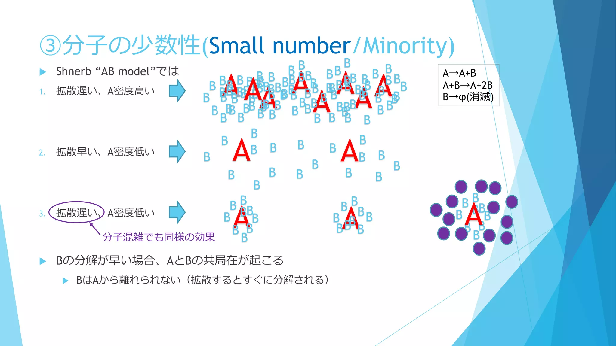 ③分子の少数性(Small number/Minority)
AB
B
BB
B B
B
B
B
 Shnerb “AB model”では
1. 拡散遅い、A密度高い
2. 拡散早い、A密度低い
3. 拡散遅い、A密度低い
 Bの分解が早い場合、AとBの共局在が起こる
 BはAから離れられない（拡散するとすぐに分解される）
A→A+B
A+B→A+2B
B→φ(消滅)
AAA AAAB
B
B
B
B
B
B
B
B
B
B
B
B
B
B
B
B
B
B
B
B
B
B
B
B
B
B
B
B
B
B
B
B
B
B
BB
B
B
B
B
B
B
B
B
B
B
B
B
B
B
B
B
BB
B
B
B
B
B
B
B
B
B
B
B
B
B
B
B
B
BB
B
B
B
B
B
B
B
BA
A AB
B BB
B
B
B
B
B
B
B
B
B
B B B
B
B
A AB
B
B
B
B
B
B
B
B B
B
BB
BB
B
B
B
分子混雑でも同様の効果
B
B
B
B
B
B
B
B
B
A
 