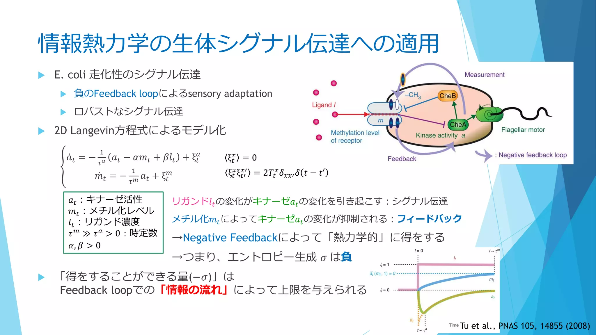 情報熱力学の生体シグナル伝達への適用
 E. coli 走化性のシグナル伝達
 負のFeedback loopによるsensory adaptation
 ロバストなシグナル伝達
 2D Langevin方程式によるモデル化
𝑎 𝑡 = −
1
𝜏 𝑎 𝑎 𝑡 − 𝛼𝑚 𝑡 + 𝛽𝑙 𝑡 + ξ 𝑡
𝑎
𝑚 𝑡 = −
1
𝜏 𝑚 𝑎 𝑡 + ξ 𝑡
𝑚
リガンド𝑙 𝑡の変化がキナーゼ𝑎 𝑡の変化を引き起こす：シグナル伝達
メチル化𝑚 𝑡によってキナーゼ𝑎 𝑡の変化が抑制される：フィードバック
→Negative Feedbackによって「熱力学的」に得をする
→つまり、エントロピー生成 𝜎 は負
 「得をすることができる量(−𝜎)」は
Feedback loopでの「情報の流れ」によって上限を与えられる
ξ 𝑡
𝑥
= 0
ξ 𝑡
𝑥
ξ 𝑡′
𝑥′
= 2𝑇𝑡
𝑥
𝛿 𝑥𝑥′ 𝛿 𝑡 − 𝑡′
𝑎 𝑡：キナーゼ活性
𝑚 𝑡：メチル化レベル
𝑙 𝑡：リガンド濃度
𝜏 𝑚 ≫ 𝜏 𝑎 > 0：時定数
𝛼, 𝛽 > 0
Tu et al., PNAS 105, 14855 (2008)
 