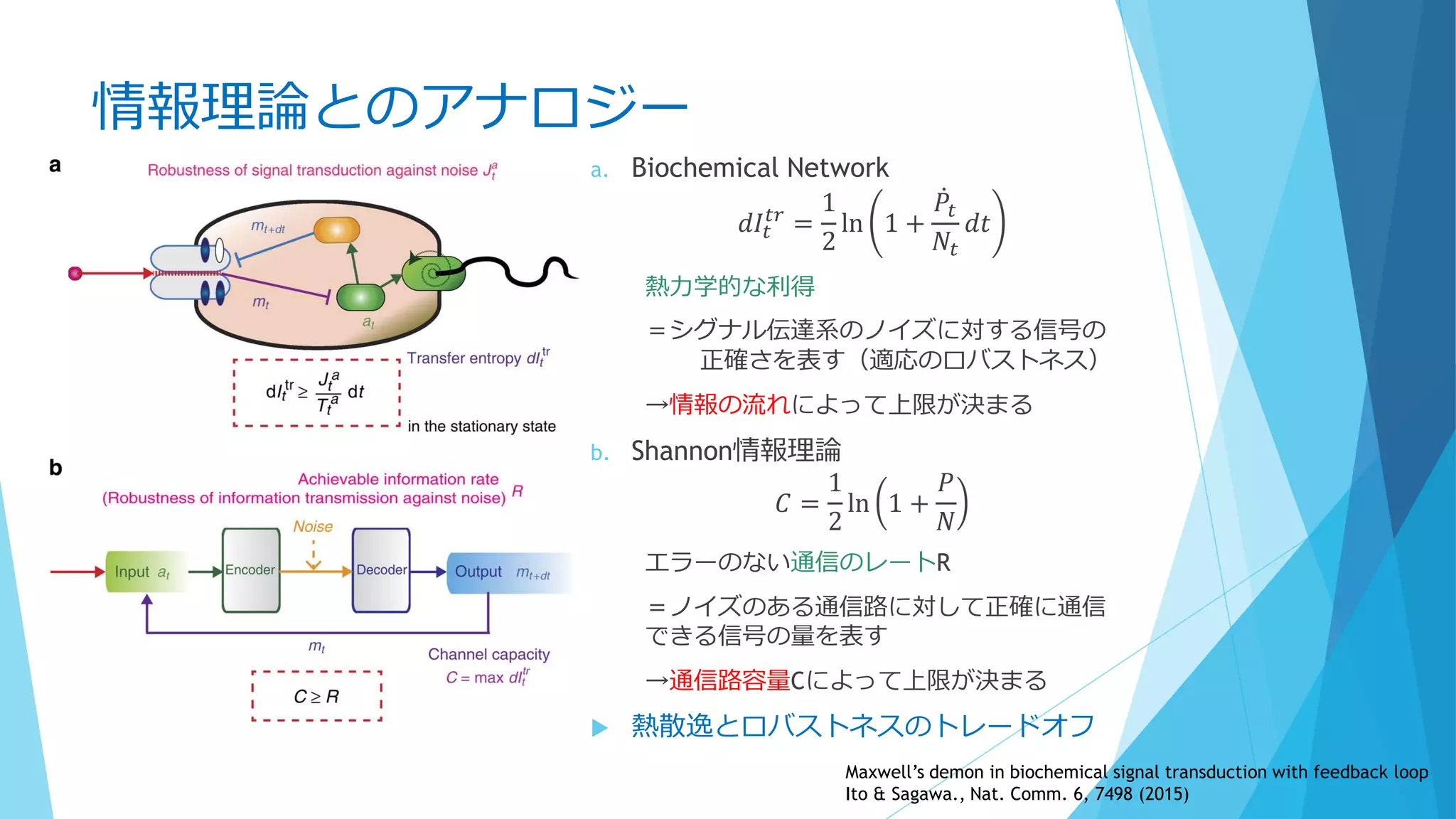 情報理論とのアナロジー
a. Biochemical Network
𝑑𝐼𝑡
𝑡𝑟
=
1
2
ln 1 +
𝑃𝑡
𝑁𝑡
𝑑𝑡
熱力学的な利得
＝シグナル伝達系のノイズに対する信号の
正確さを表す（適応のロバストネス）
→情報の流れによって上限が決まる
b. Shannon情報理論
𝐶 =
1
2
ln 1 +
𝑃
𝑁
エラーのない通信のレートR
＝ノイズのある通信路に対して正確に通信
できる信号の量を表す
→通信路容量Cによって上限が決まる
 熱散逸とロバストネスのトレードオフ
Maxwell’s demon in biochemical signal transduction with feedback loop
Ito & Sagawa., Nat. Comm. 6, 7498 (2015)
 