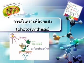 LOGO
การสังเคราะห์ด้วยแสง
(photosynthesis)
 