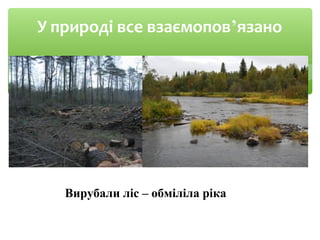 У природі все взаємопов’язано
Вирубали ліс – обміліла ріка
 