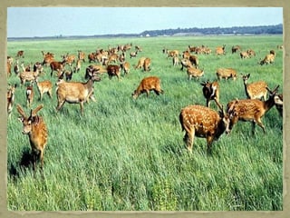 Україна в цікавих фактах