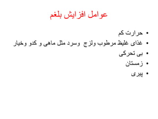 ‫بلغم‬ ‫افزایش‬ ‫عوامل‬
•‫کم‬ ‫حرارت‬
•‫وخیار‬ ‫کدو‬ ‫و‬ ‫ماهی‬ ‫مثل‬ ‫وسرد‬ ‫ولزج‬ ‫مرطوب‬ ‫غلیظ‬ ‫غذای‬
•‫تحرکی‬ ‫بی‬
•‫زمستان‬
•‫پیری‬
 