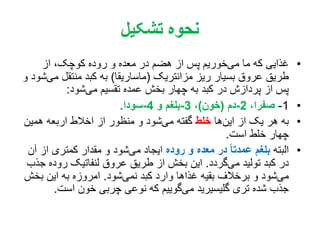 ‫تشکیل‬ ‫نحوه‬
•‫از‬ ،‫کوچک‬ ‫روده‬ ‫و‬ ‫معده‬ ‫در‬ ‫هضم‬ ‫از‬ ‫پس‬ ‫خوریم‬‫می‬ ‫ما‬ ‫که‬ ‫غذایی‬
‫مزانتریک‬ ‫ریز‬ ‫بسیار‬ ‫عروق‬ ‫طریق‬(‫ماساریقا‬)‫م‬ ‫منتقل‬ ‫کبد‬ ‫به‬‫و‬ ‫شود‬‫ی‬
‫شود‬‫می‬ ‫تقسیم‬ ‫عمده‬ ‫بخش‬ ‫چهار‬ ‫به‬ ‫کبد‬ ‫در‬ ‫پردازش‬ ‫از‬ ‫پس‬:
•1-،‫صفرا‬2-‫دم‬(‫خون‬)،3-‫و‬ ‫بلغم‬4-‫سودا‬.
•‫ها‬‫این‬ ‫از‬ ‫یک‬ ‫هر‬ ‫به‬‫خلط‬‫همین‬ ‫اربعه‬ ‫اخالط‬ ‫از‬ ‫منظور‬ ‫و‬ ‫شود‬‫می‬ ‫گفته‬
‫است‬ ‫خلط‬ ‫چهار‬.
•‫البته‬‫روده‬ ‫و‬ ‫معده‬ ‫در‬ ً‫ا‬‫عمدت‬ ‫بلغم‬‫از‬ ‫کمتری‬ ‫مقدار‬ ‫و‬ ‫شود‬‫می‬ ‫ایجاد‬‫آن‬
‫گردد‬‫می‬ ‫تولید‬ ‫کبد‬ ‫در‬.‫روده‬ ‫لنفاتیک‬ ‫عروق‬ ‫طریق‬ ‫از‬ ‫بخش‬ ‫این‬‫جذب‬
‫شود‬‫نمی‬ ‫کبد‬ ‫وارد‬ ‫غذاها‬ ‫بقیه‬ ‫برخالف‬ ‫و‬ ‫شود‬‫می‬.‫بخ‬ ‫این‬ ‫به‬ ‫امروزه‬‫ش‬
‫است‬ ‫خون‬ ‫چربی‬ ‫نوعی‬ ‫که‬ ‫گوییم‬‫می‬ ‫گلیسیرید‬ ‫تری‬ ‫شده‬ ‫جذب‬.
 