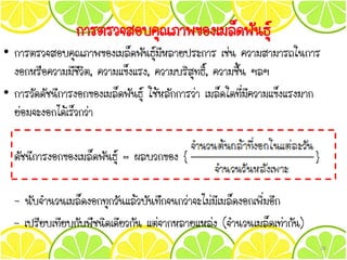 การตรวจสอบคุณภาพของเมล็ดพันธุ์
• การตรวจสอบคุณภาพของเมล็ดพันธุ์มีหลายประการ เช่น ความสามารถในการ
งอกหรือความมีชีวิต, ความแข็งแรง, ความบริสุทธิ์, ความชื้น ฯลฯ
• การวัดดัชนีการงอกของเมล็ดพันธุ์ ใช้หลักการว่า เมล็ดใดที่มีความแข็งแรงมาก
ย่อมจะงอกได้เร็วกว่า
ดัชนีการงอกของเมล็ดพันธุ์ = ผลบวกของ { }
- นับจานวนเมล็ดงอกทุกวันแล้วบันทึกจนกว่าจะไม่มีเมล็ดงอกเพิ่มอีก
- เปรียบเทียบกับพืชนิดเดียวกัน แต่จากหลายแหล่ง (จานวนเมล็ดเท่ากัน)
26
 