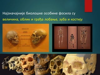 Најзначајније биолошке особине фосила су
величина, облик и грађа лобање, зуба и костију
 