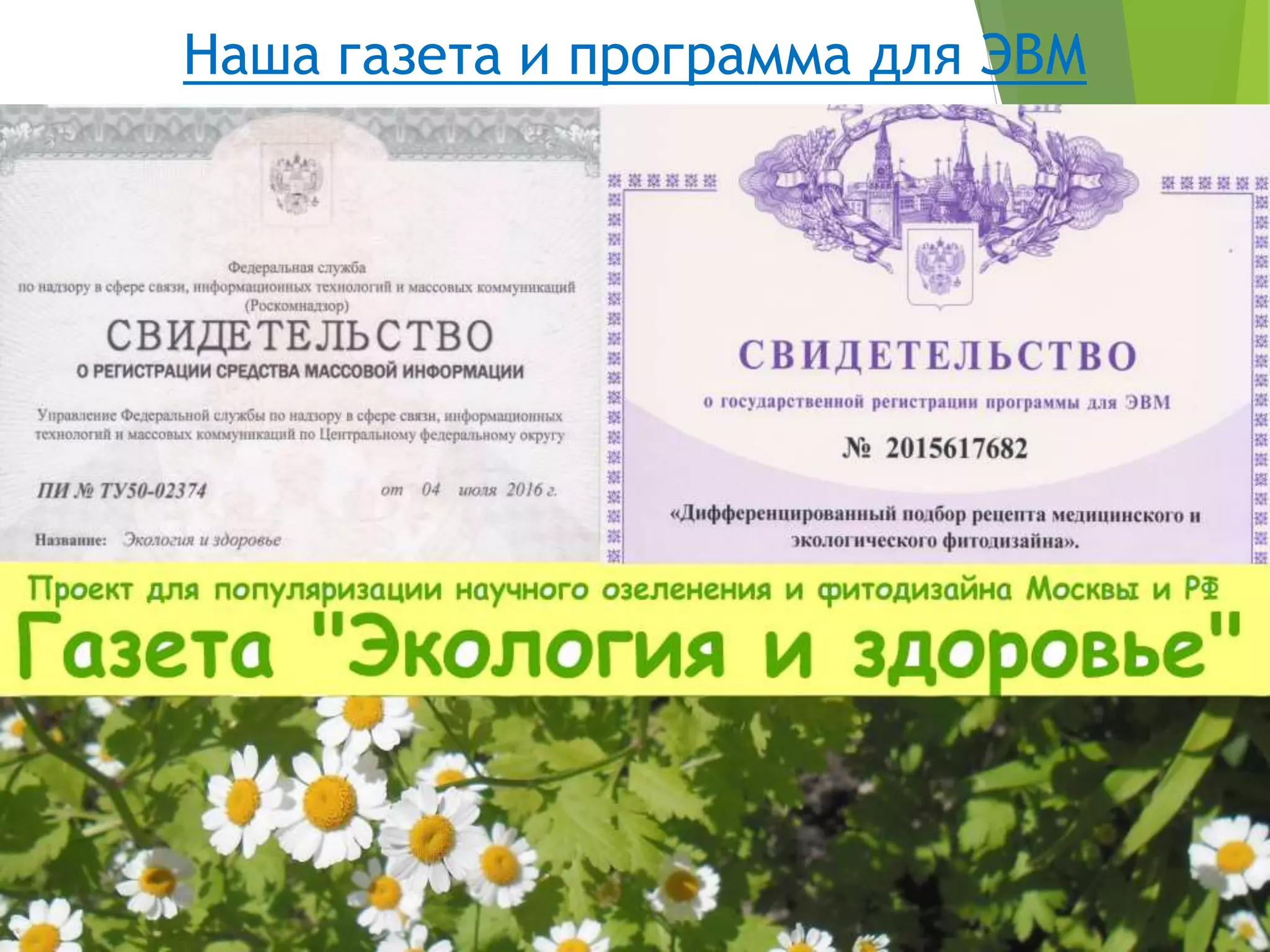 Наша газета и программа для ЭВМ
 