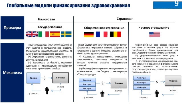 инга диетолог инга диетолог