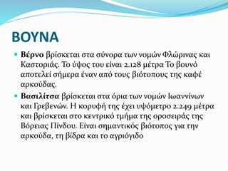ΒΟΥΝΑ
 Βέρνο βρίσκεται στα σύνορα των νομών Φλώρινας και
Καστοριάς. Το ύψος του είναι 2.128 μέτρα Το βουνό
αποτελεί σήμερα έναν από τους βιότοπους της καφέ
αρκούδας.
 Βασιλίτσα βρίσκεται στα όρια των νομών Ιωαννίνων
και Γρεβενών. Η κορυφή της έχει υψόμετρο 2.249 μέτρα
και βρίσκεται στο κεντρικό τμήμα της οροσειράς της
Βόρειας Πίνδου. Είναι σημαντικός βιότοπος για την
αρκούδα, τη βίδρα και το αγριόγιδο
 