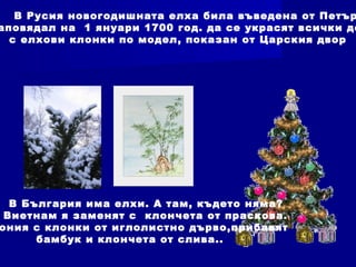 В Русия новогодишната елха била въведена от Петър
аповядал на 1 януари 1700 год. да се украсят всички до
с елхови клонки по модел, показан от Царския двор
В България има елхи. А там, където няма?
Виетнам я заменят с клончета от праскова.
ония с клонки от иглолистно дърво,прибавят
бамбук и клончета от слива..
 
