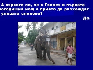 А вярвате ли, че в Гвинея в първата
вогодишна нощ е прието да разхождат
улицата слонове?
Да.
 