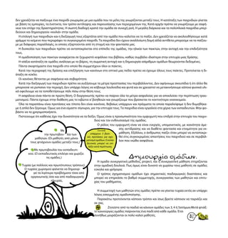 31
δεν χρειάζεται να παίξουμε ένα παιχνίδι γνωριμίας με μια ομάδα που τα μέλη της γνωρίζονται μεταξύ τους. Η κατάταξη των παιχνιδιών γίνεται
με βάση τις εμπειρίες, τα ένστικτα, τον τρόπο αντίληψης και παρουσίασης των περιεχομένων της. Κατά αρχήν πρέπει να γνωρίζουμε με σαφή-
νεια τον στόχο της δραστηριότητας. Η σωστή διαδοχή κρατά την ομάδα σε συνεχή ροή. Η μεγάλη διάρκεια και τα πολύπλοκά παιχνίδια μπερ-
δεύουν και δημιουργούν «κοιλιά» στην ομάδα.
Η επιλογή των παιχνιδιών και η διεξαγωγή τους εξαρτάται από την ομάδα που καλείται να το παίξει. Δεν χρειάζεται να ακολουθήσουμε κατά
γράμμα το κείμενο που περιγράφει το συγκεκριμένο παιχνίδι.Τα παιχνίδια δεν έχουν αναλλοίωτη δομή αλλά αντίθετα μπορούμε να τα παίζου-
με με διάφορες παραλλαγές, οι οποίες εξαρτούνται από τη στιγμή και την φαντασία μας.
Η δυσκολία των παιχνιδιών πρέπει να ανταποκρίνεται στο επίπεδο της ομάδας, την ηλικία των παικτών, στην αντοχή και την επιδεξιότητα
τους.
Η ομαδοποίηση των παικτών αναφέρεται σε ξεχωριστό κεφάλαιο του βιβλίου, καθώς συμβάλει ιδιαίτερα στην επιτυχία μιας δράσης.
Η ισάξια κατάταξη σε ομάδες ανάλογα με το βάρος, τη σωματική αντοχή και η δημιουργία ισάριθμων ομάδων θεωρούνται δεδομένες.
Πάντα σκεφτόμαστε ένα παιχνίδι στο οποίο θα συμμετέχουν όλοι οι παίκτες.
Κατά την περιγραφή της δράσης και επεξήγηση των κανόνων στο οπτικό μας πεδίο πρέπει να έχουμε όλους τους παίκτες. Προτείνεται η δι-
άταξη σε κύκλο.
Οι κανόνες θέτονται με σαφήνεια και σοβαρότητα.
Κατά την διεξαγωγή των παιχνιδιών πρέπει να αυξήσουμε τα μέτρα προστασίας του περιβάλλοντος. Δεν αφήνουμε σκουπίδια ή ότι άλλο θα
μπορούσε να ρυπαίνει την περιοχή. Δεν υπάρχει λόγος να κόβουμε λουλούδια και φυτά και αν χρειαστεί να μετακινήσουμε κάποια φυσικά υλι-
κά οφείλουμε να τα τοποθετήσουμε πάλι πίσω στην θέση τους.
Η ασφάλεια είναι πάντα σε πρώτη θέση. Ο διοργανωτής πρέπει να παίρνει όλα τα μέτρα ασφαλείας για να αποκλείσει την περίπτωση τραυ-
ματισμού. Πάντα έχουμε στην διάθεση μας το κιβώτιο α’βοηθειών και γνωρίζουμε που βρίσκεται το κοντινότερο νοσοκομείο.
Όλα τα παραπάνω είναι προτάσεις και τίποτα δεν είναι κανόνας. Βεβαίως υπάρχουν και πράγματα τα οποία παραλείψαμε ή δεν θυμηθήκα-
με ή απλά δεν ξέρουμε. Όμως για ένα είμαστε σίγουροι, για την επιτυχία τους.Τα παιχνίδια είναι εργαλείο στα χέρια των εκπαιδευτών. Μην φο-
βάστε να τα χρησιμοποιήσετε.
Πιστεύουμε ότι καθένας έχει την δυνατότητα να τα δείξει. Όμως είναι η προσωπικότητα του εμψυχωτή που επιδρά στην επιτυχία του παιχνι-
διού και τον ενθουσιασμό της ομάδας.
Ο ρόλος του εμψυχωτή είναι να είναι ενεργός, υπομονετικός, με ικανότητα άμε-
σης αντίδρασης και να διαθέτει φαντασία και ετοιμότητα για εκ-
μάθηση. Εξάλλου, ο άνθρωπος παίζει όταν μπορεί να ανταποκρι-
θεί στις συγκεκριμένες απαιτήσεις του παιχνιδιού και σε περιβάλ-
λον που νιώθει ασφάλεια.
Δημιουργίαομάδων.Η ομαδο συνεργατική μέθοδος, project, και η συνεργατική μάθηση στηρίζονται
στην ομαδική δουλειά. Πως όμως είναι δυνατό να χωρίσω τους μαθητές σε ομάδες
εύκολα και γρήγορα;
Ο τρόπος σχηματισμού ομάδων έχει σημαντικές παιδαγωγικές διαστάσεις και
μπορεί να επηρεάσει το βαθμό συμμετοχής, συνεργασίας των μαθητών και επιτυ-
χίας του μαθήματος.
Η συμμετοχή των μαθητών στις ομάδες πρέπει να γίνεται τυχαία εκτός αν υπάρχει
λόγος εσκεμμένης ομαδοποίησης.
Παρακάτω προτείνονται κάποιοι τρόποι και ίσως βρείτε κάποιον να ταιριάζει και
σε σας.
1.	 Ζητείστε από τα παιδιά να κάνουν ομάδες των 3, 4 ή 5ατόμων.Μετά φτιάξ-
τε καινούργιες ομάδες παίρνοντας ένα παιδί από κάθε ομάδα. Έτσι
συνήθως μοιράζονται οι πολύ καλοί μαθητές.
Με
την πρωτοβου- λία των
μαθητών. (Οι μαθητές από μόνοι
τους φτιάχνουν ομάδες μεταξύ τους.)
Με πρωτοβουλία του εκπαιδευτι-
κού. (Ο εκπαιδευτικός επιλέγει και χωρίζει
τις ομάδες.)
Τυχαία (με πολλούς και πρωτότυπους τρόπους)
Ο τυχαίος χωρισμού φαίνεται να δημιουρ-
γεί τα λιγότερα προβλήματα τόσο από
οργανωτικής όσο και από παιδαγωγικής
πλευράς.
Γενικά
υπάρχουν 3 βασι-
κές προτάσεις για σχη-
ματισμό ομάδων. Ο εκπαι-
δευτικός μπορεί να επι-
λέξει κατά περίπτωση.
 