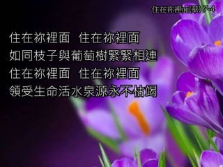 住在祢裡面 住在祢裡面
如同枝子與葡萄樹緊緊相連
住在祢裡面 住在祢裡面
領受生命活水泉源永不枯竭
住在祢裡面(華) 7-4
 