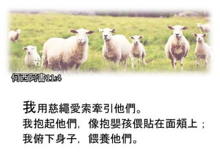 何西阿書11:4
我用慈繩愛索牽引他們。
我抱起他們，像抱嬰孩偎貼在面頰上；
我俯下身子，餵養他們。
 