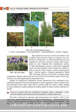 Підручник Географія 8 клас Кобернік, Коваленко 2016 нова програма