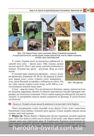 Підручник Географія 8 клас Кобернік, Коваленко 2016 нова програма