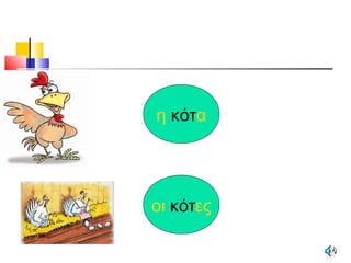 η κότα
οι κότες
 