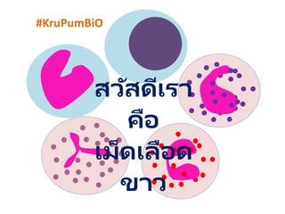 สวัสดีเรา
คือ
เม็ดเลือด
ขาว
#KruPumBiO
 