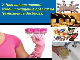 2. Насыщение чистой
водой и очищение организма
(устранение дисбиоза)
 