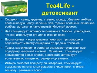 Tea4Life -
детоксикант
• Содержит: сенну, крушину, стевию, корицу, облепиху, имбирь,,
апельсиновую цедру, зеленый чай, горький апельсин, эхинацею,
ройбуш, астрагал и натуральный яблочный аромат.
• Чай стимулирует активность кишечника. Многие утверждают,
что они используют его для снижения веса.
• Листья сенны и коры крушины помогают при запорах и
содействуют мягкому очищению от вредных токсинов
• Травы, как эхинацея и астрагал оказывают существенную
поддержку иммунной системе. Эхинацея стимулирует
производство белых клеток, а астрагал активирует
естественную иммунную реакцию организма.
• Имбирь помогает процессу пищеварения, стимулирует
всасывание питательных веществ в кишечнике, снижает
тошноту, рвотный и понос.
 