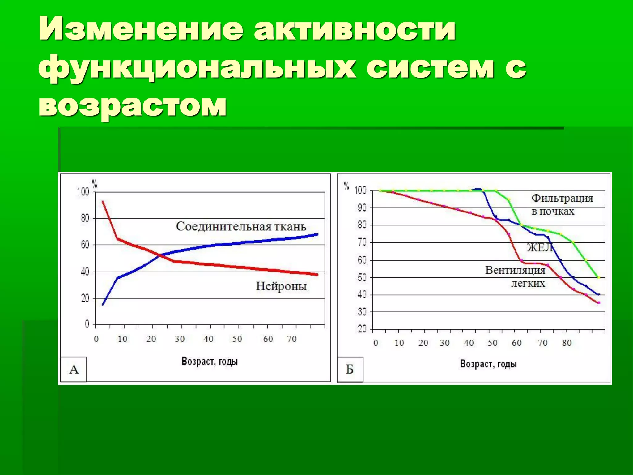 Трансфер Фактор и безмедикаментозные методы в профилактике старения ...