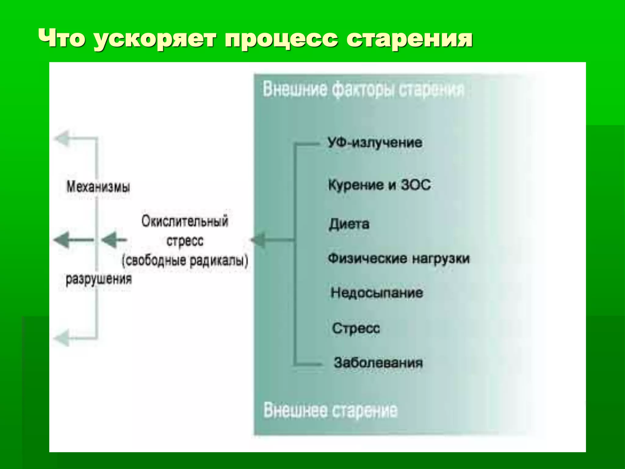 Трансфер Фактор и безмедикаментозные методы в профилактике старения ...